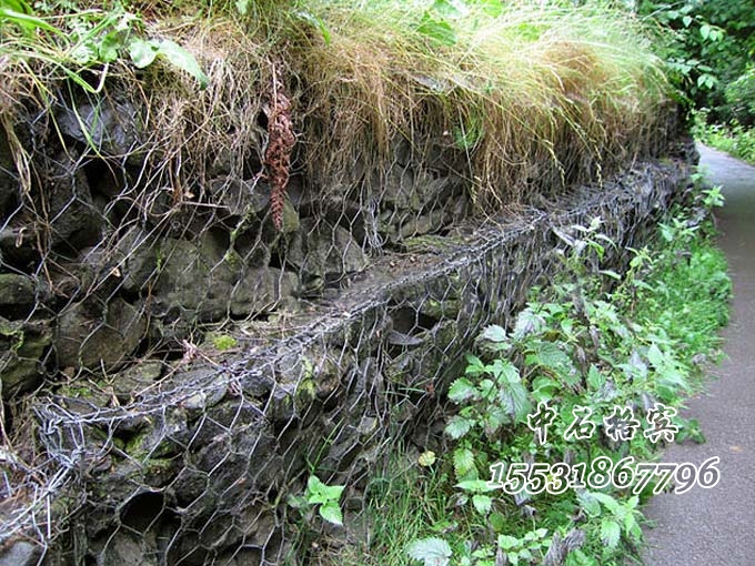 生態(tài)格網